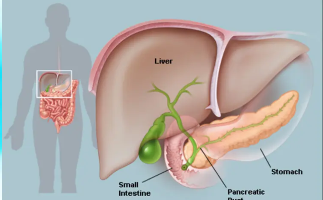 Is Your Stomach Healthy? - Pancreatitis